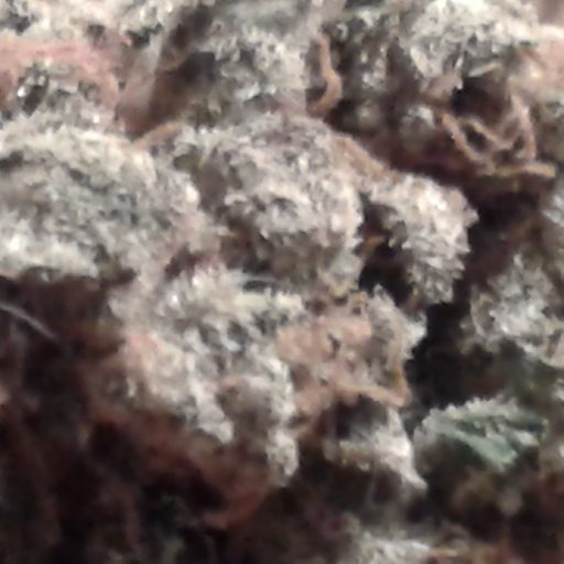 cropped-20160415_112110.jpg
